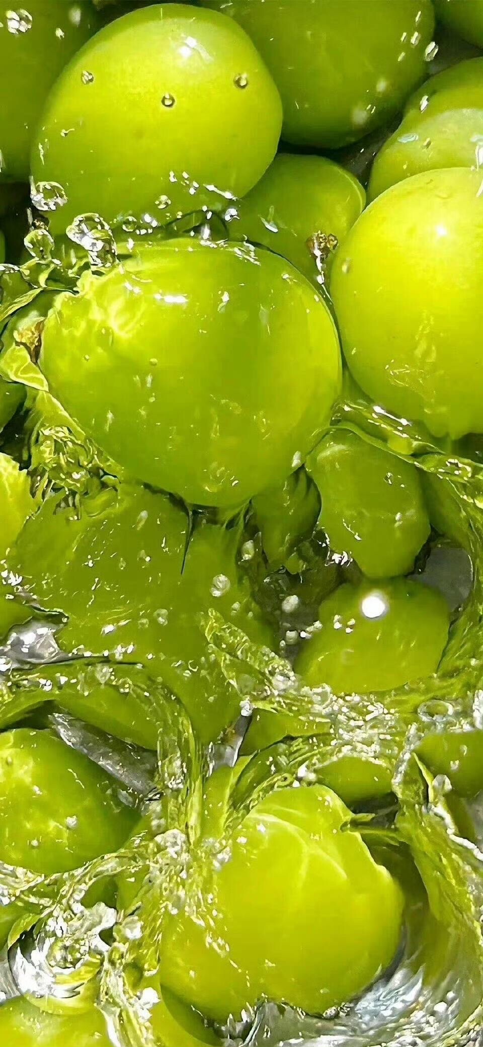 清透壁纸，干净简约
