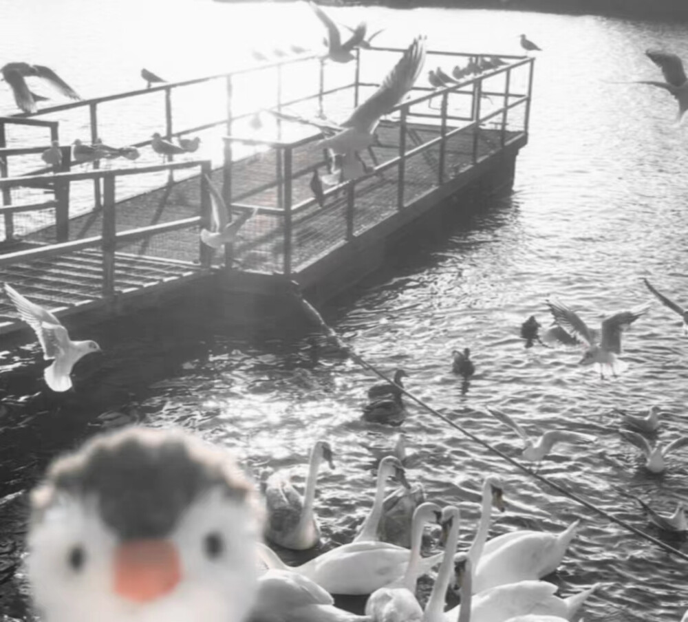 
你的眼是无尽春与朦胧雾