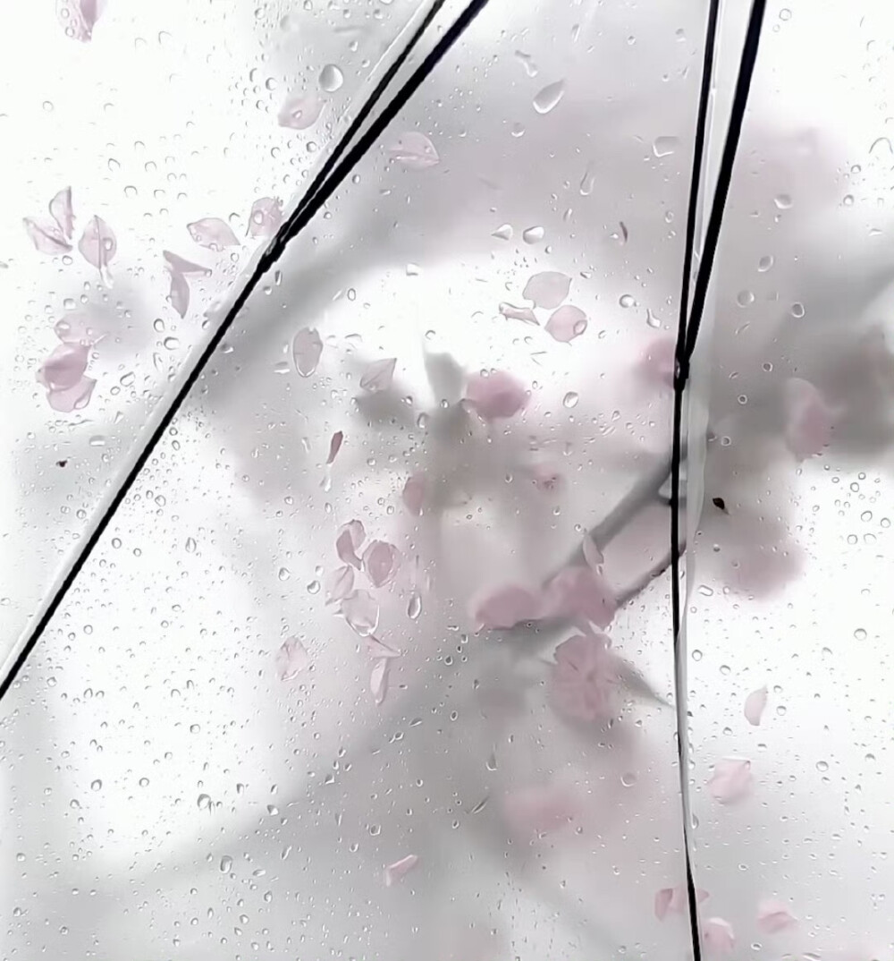 背景图