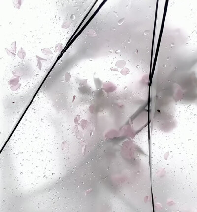 背景图