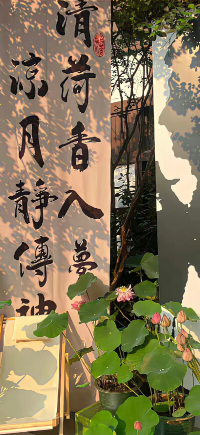 手机壁纸