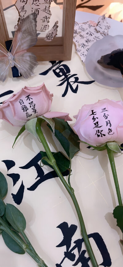 手机壁纸