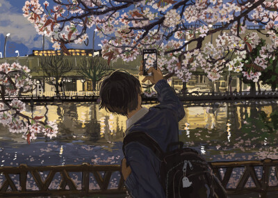 夜樱｜画师：manuhamu