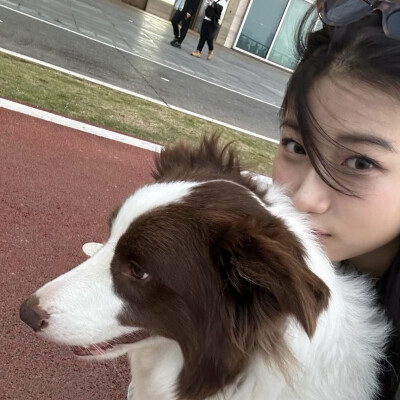 dt林宇婧