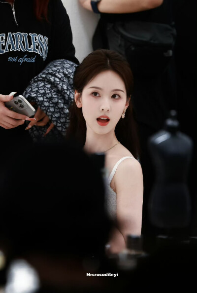 cr.Mrcrocodileyi
