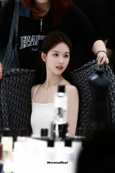 cr.Mrcrocodileyi