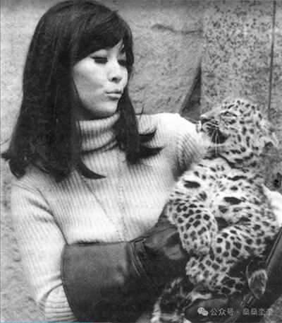 年轻时的周采芹