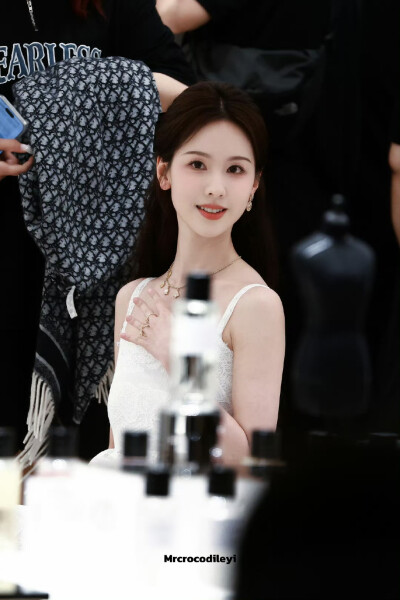 cr.Mrcrocodileyi
