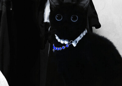 2% 黑莓Go go！ฅฅ