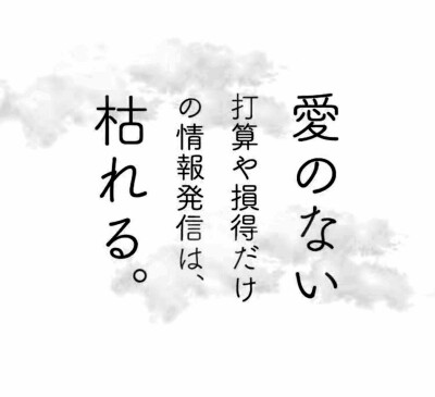 唯一纯白的茉莉花
