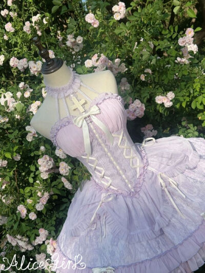 不是 也没人跟我说紫色十字姬会这么好看呀，真的一眼爱上