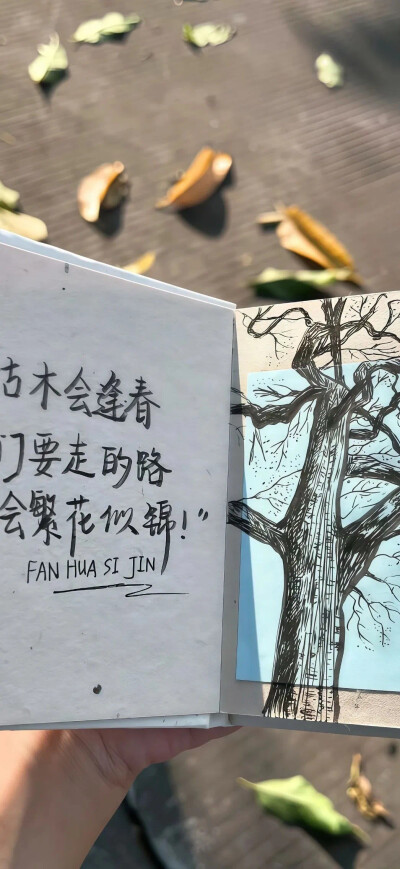 手机壁纸