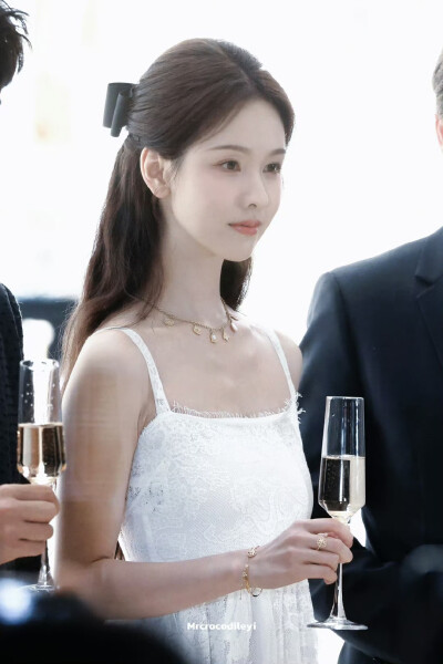 cr.Mrcrocodileyi