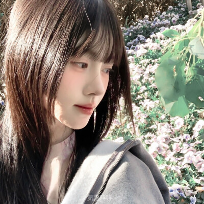 鞠婧祎