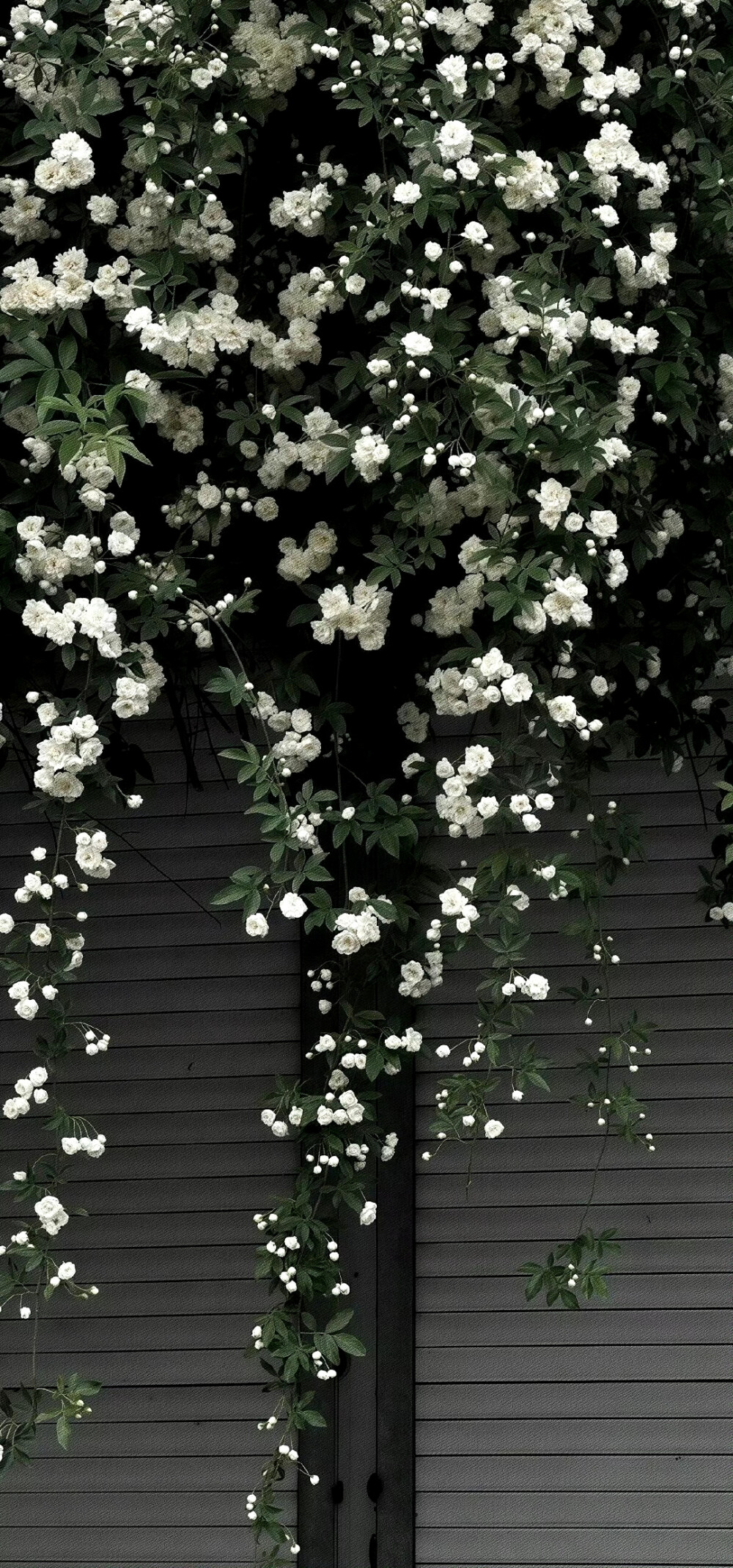 ins风 锁屏壁纸 聊天背景