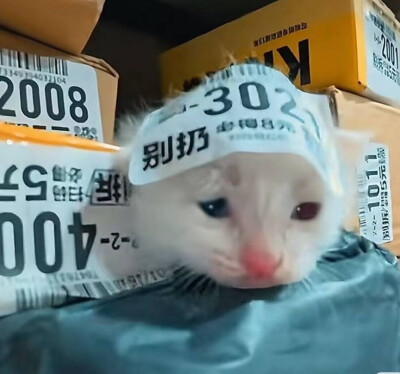记得取快递