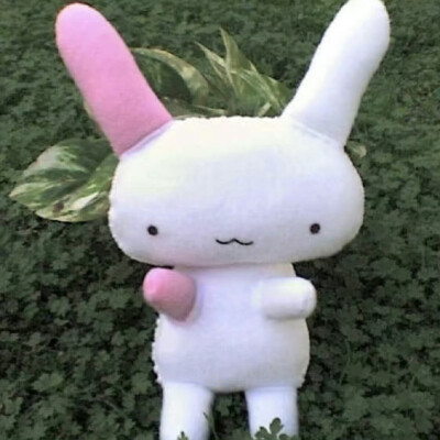 (>﹏<)