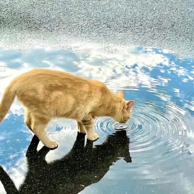 背景图