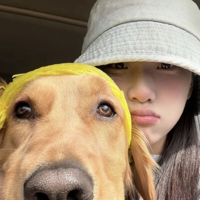 dt林宇婧