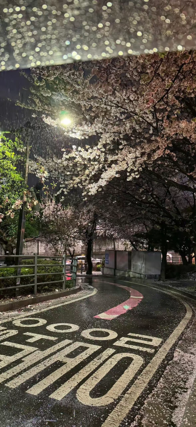今天