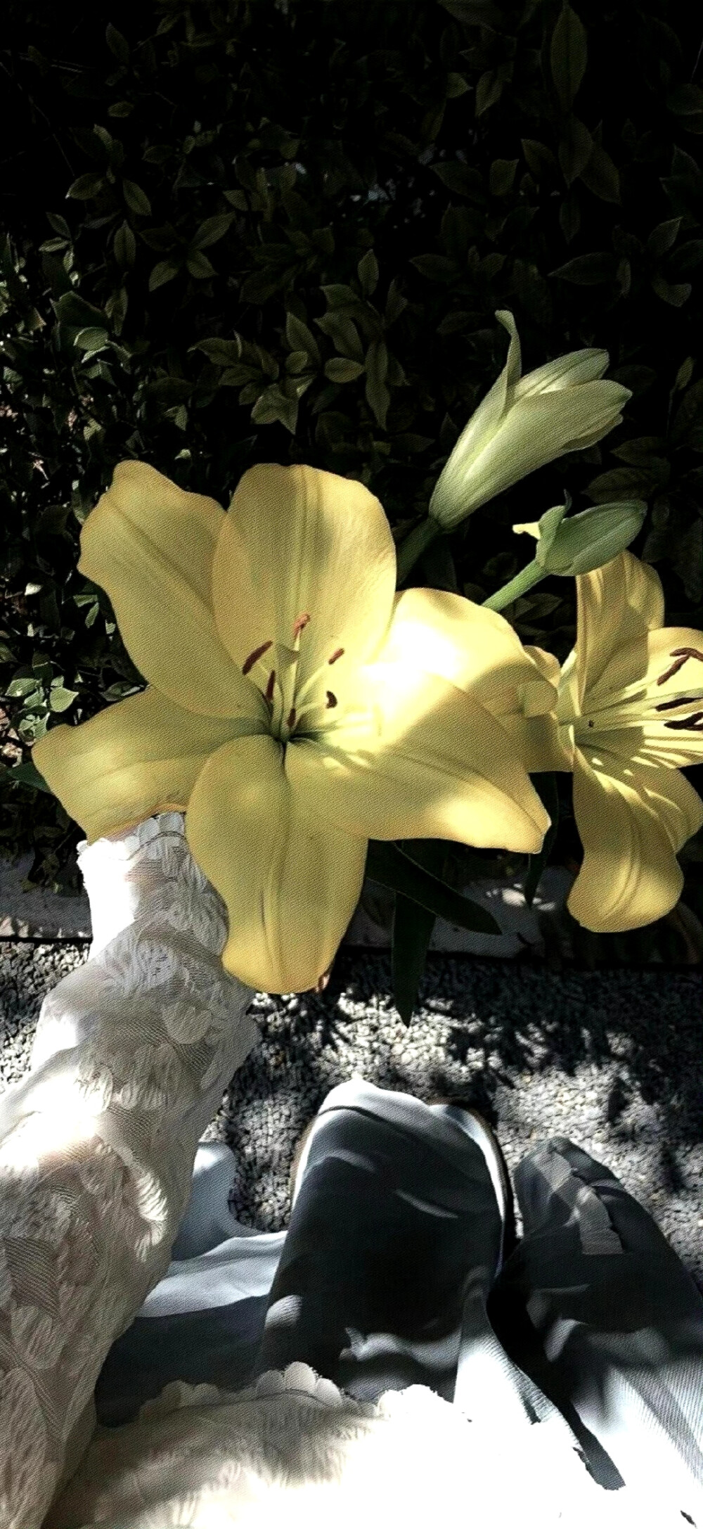 ins风 锁屏壁纸 聊天背景