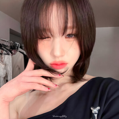 田姬振
