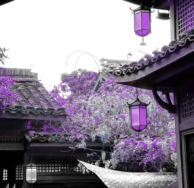 一九九七 春 ：她来自于宅院里的夜莺