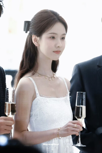 cr.Mrcrocodileyi