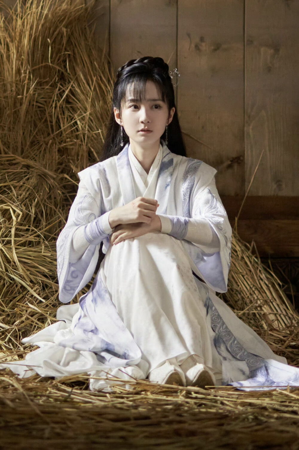 落花时节又逢君 陆瑶