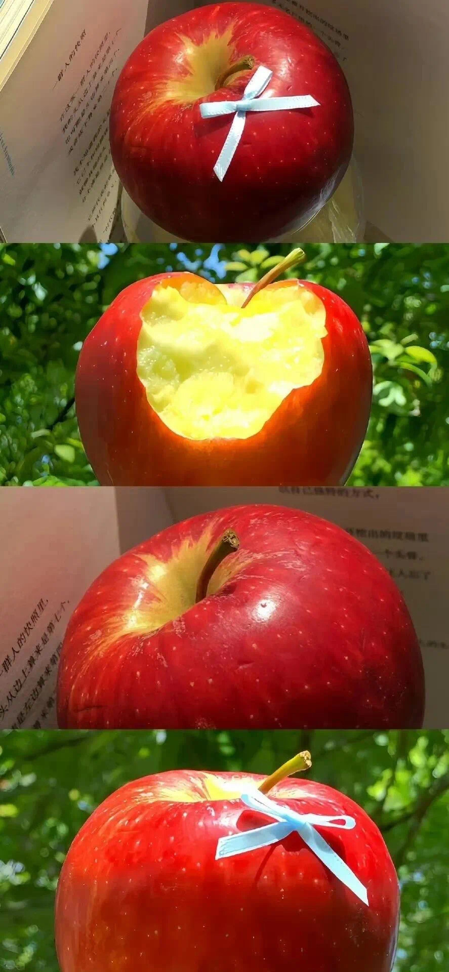手机壁纸
