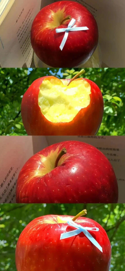 手机壁纸