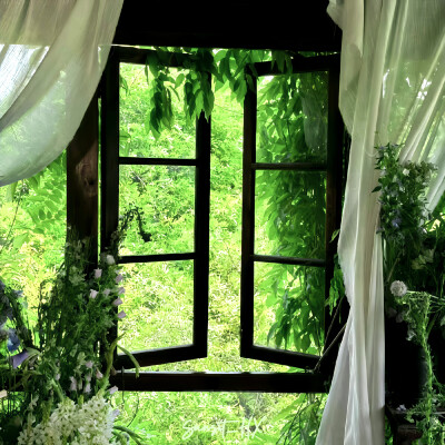 “当指尖渗出一滴绿，所有纹理都开始自由迁徙”
(蟹蟹，大家！榜一了！)