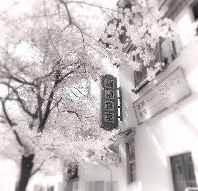 金珉周