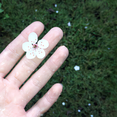 图源weibo侵权删