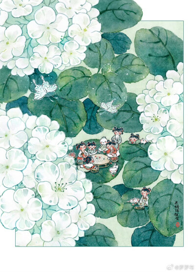 木绣球