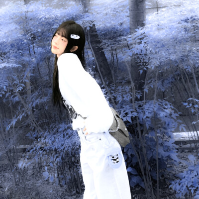 夕阳落叶汽笛声通知恋爱告急