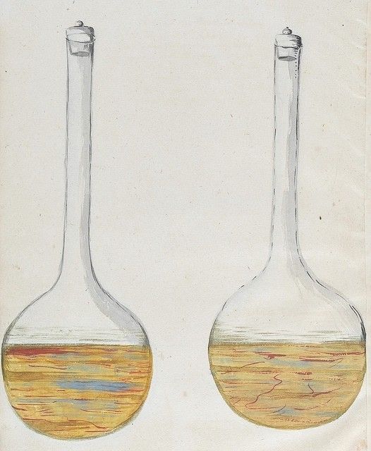 摘自《来自宇宙的酊剂》（Von der Universal Tinctur），克里斯蒂安·威尔海姆·凡·克罗耐曼（Christian Wilhelm von Krohnemann）著，1677年。