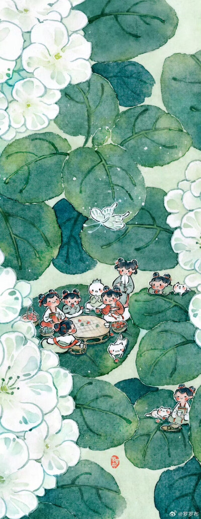 木绣球