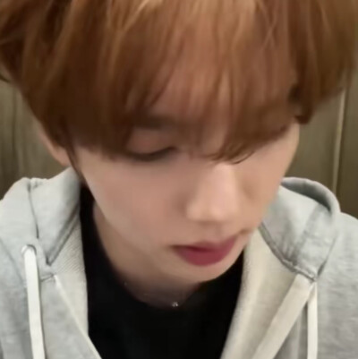 来一鸟
