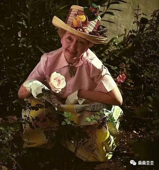 赫达·霍珀