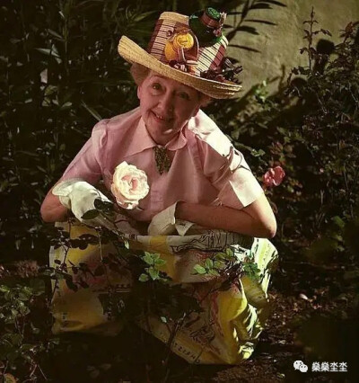 赫达·霍珀