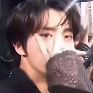 Fragaria × ananassa