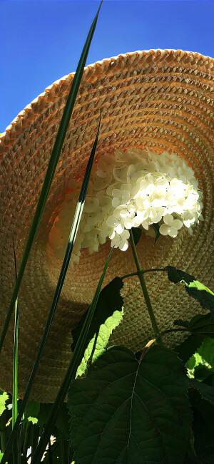 图源weibo侵权删