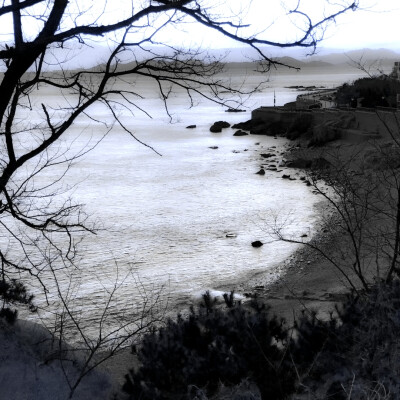 夕阳落叶汽笛声通知恋爱告急