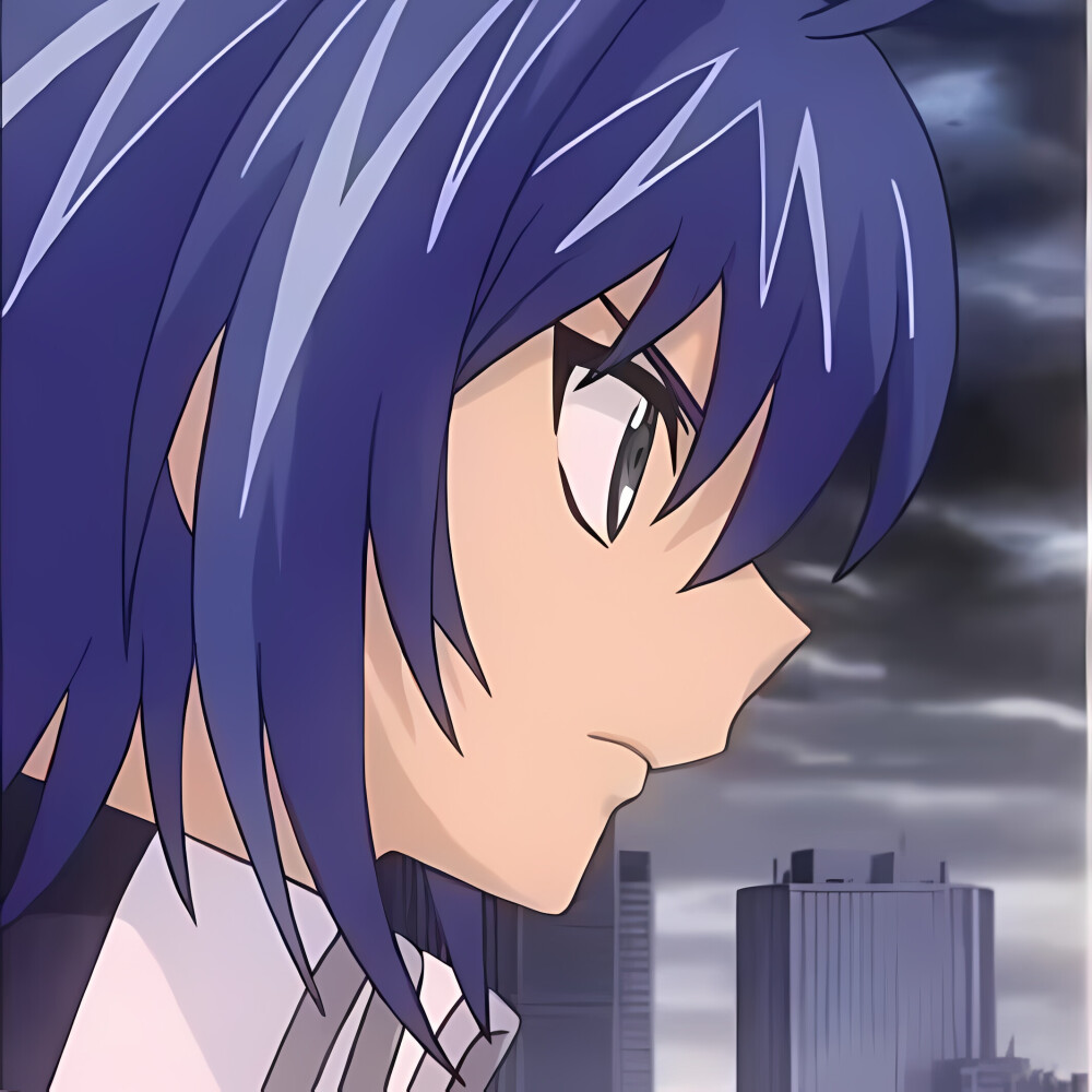 卡片战斗先导者
