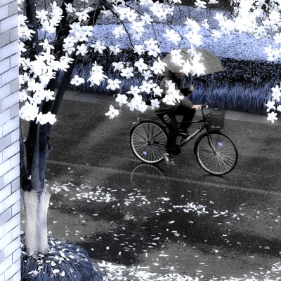 夕阳落叶汽笛声通知恋爱告急