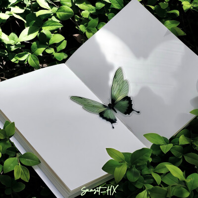 “当指尖渗出一滴绿，所有纹理都开始自由迁徙”
(蟹蟹，大家！榜一了！)