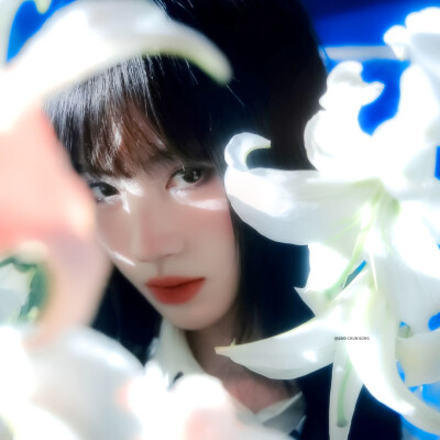 La fleur bleue*...内心盛开蓝莲花"シャドーダンス