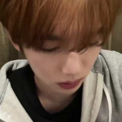 来一鸟