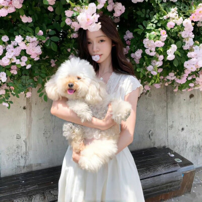 悄悄退场